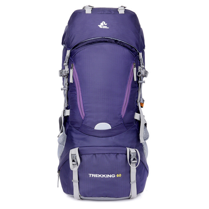 Backpack - 60L Trekking Purple