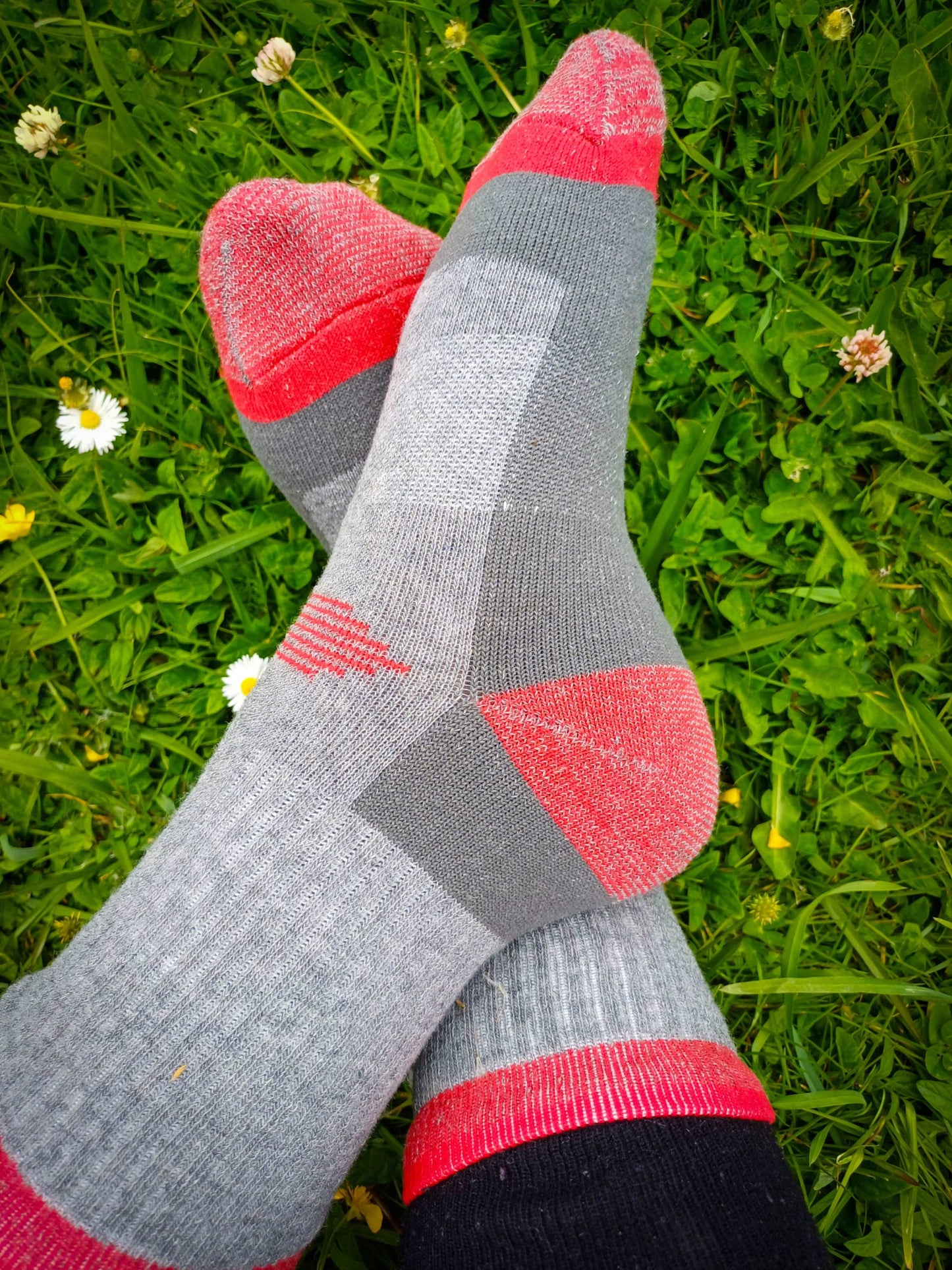 Adventure Outdoor socks men and women merino wool socks Gray red